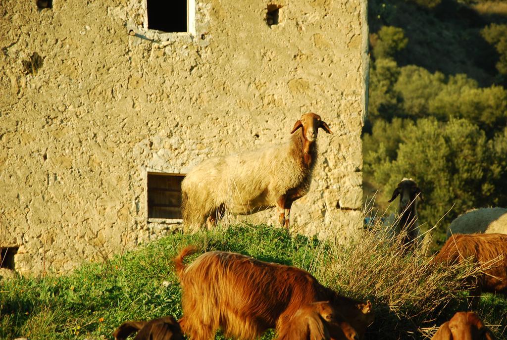 Experience Il Paesino Hotel Licodia Eubea Exterior foto